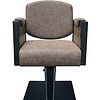 Salon Chair Sc69 1 A